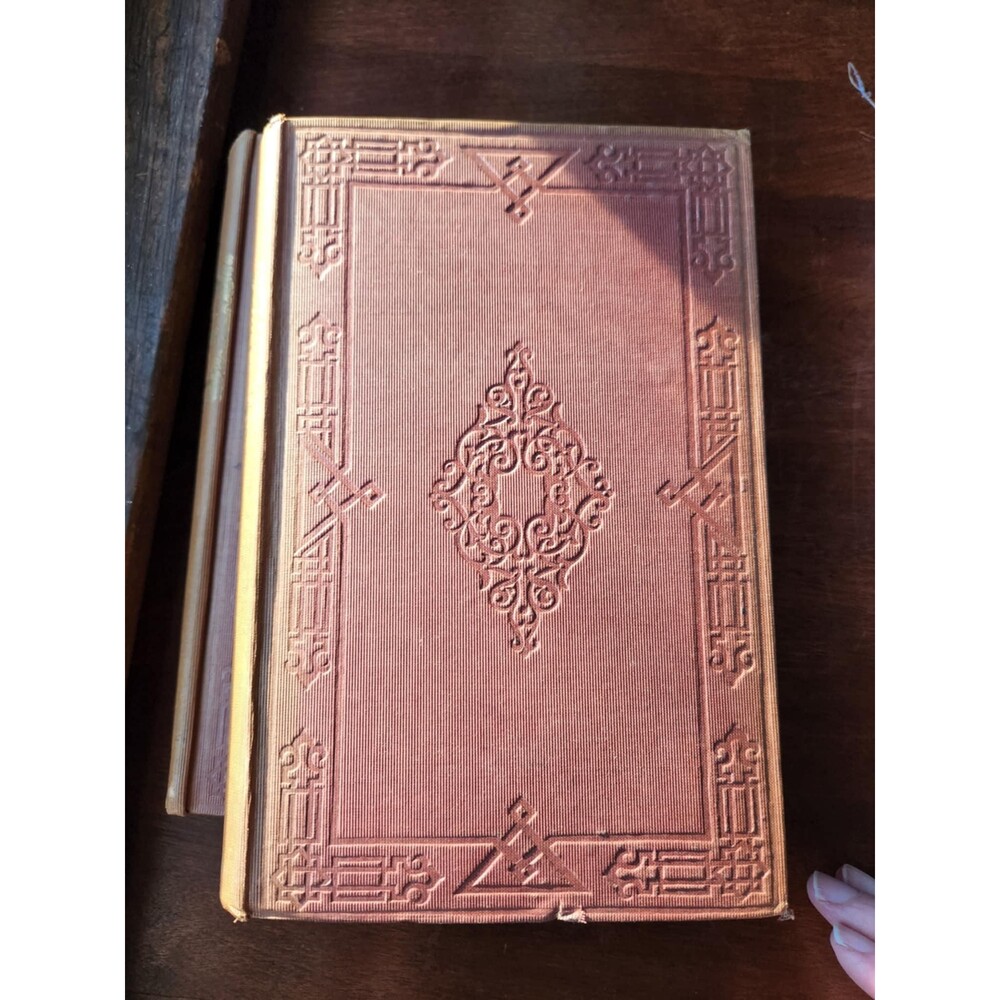 Antique Charles OMalley Irish Dragoon Book vol 1 & 2 | 1841 1st Edition